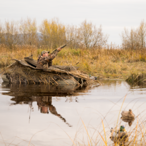 Dogfish boats duck hunter package